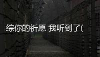 綜你的祈愿 我聽到了(關于綜你的祈愿 我聽到了簡述)