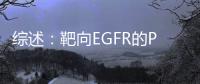 綜述：靶向EGFR的PROTAC類藥物研發(fā)進(jìn)展