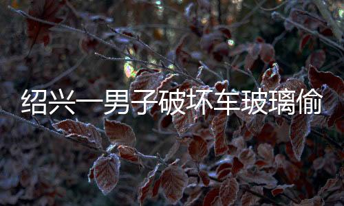 紹興一男子破壞車玻璃偷銀行卡取款