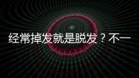 經常掉發就是脫發？不一定！這些脫發標準，你不妨看看是否達標