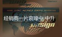 經銷商一片哀嚎中 中升上半年凈利潤翻倍