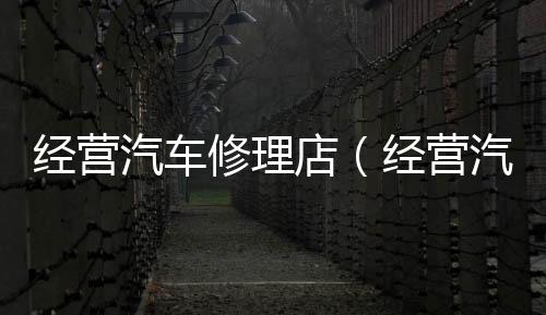 經營汽車修理店(經營汽車修理店)