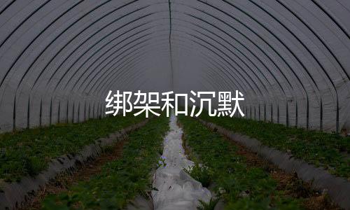 綁架和沉默