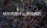 結核病是什么,結核病的病因和傳播途徑詳解