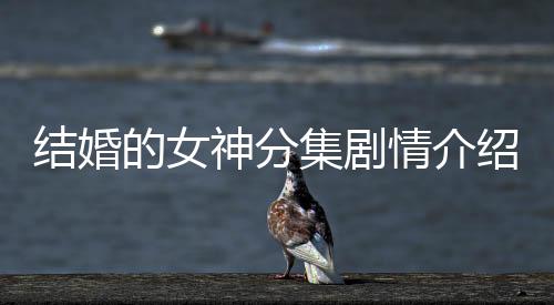 結(jié)婚的女神分集劇情介紹(第1