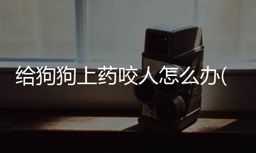 給狗狗上藥咬人怎么辦(狗狗不愿意上藥怎么辦)