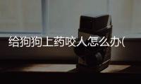 給狗狗上藥咬人怎么辦(狗狗不愿意上藥怎么辦)