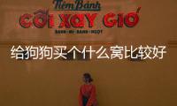 給狗狗買個(gè)什么窩比較好？給狗狗買個(gè)什么窩好