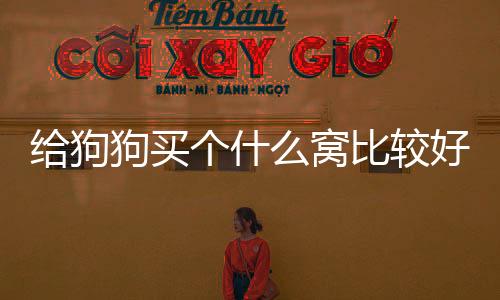 給狗狗買個什么窩比較好？給狗狗買個什么窩好