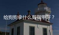 給狗狗拿什么剪指甲好？給狗狗拿什么剪指甲比較好