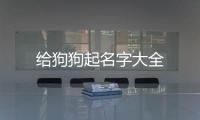 給狗狗起名字大全