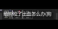 給狗咬了出血怎么辦(狗把手咬出血了怎么辦)