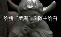 給豬“美黑”？攤主給白豬肉涂炭灰冒充黑豬肉，市監局通報
