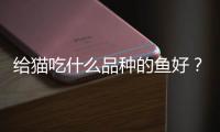 給貓吃什么品種的魚(yú)好？給貓吃什么品種的魚(yú)比較好