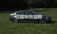 給貓咪做貓糧