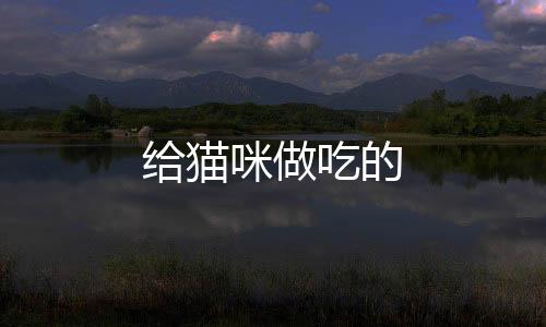給貓咪做吃的