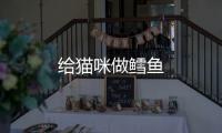 給貓咪做鱈魚