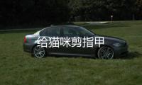 給貓咪剪指甲