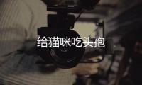 給貓咪吃頭孢
