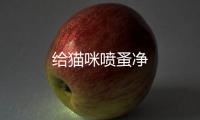 給貓咪噴蚤凈