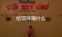 給貓咪喝什么