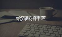 給貓咪指甲蓋