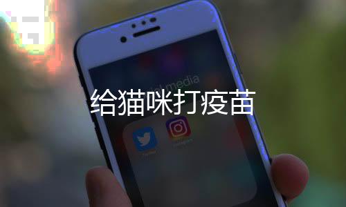 給貓咪打疫苗