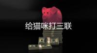 給貓咪打三聯(lián)