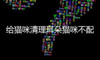給貓咪清理耳朵貓咪不配合怎么辦(貓咪抖耳朵什么意思)