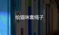 給貓咪套繩子