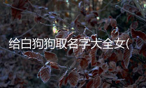 給白狗狗取名字大全女(給白狗狗取名字大全兩個字)