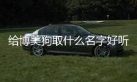 給博美狗取什么名字好聽呢(博美狗取什么名字好聽)