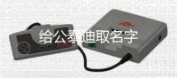 給公泰迪取名字