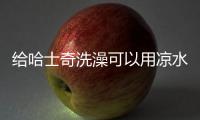 給哈士奇洗澡可以用涼水嗎(給哈士奇洗澡可以用涼水洗嗎)
