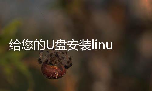 給您的U盤安裝linux