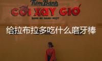 給拉布拉多吃什么磨牙棒？拉布拉多用什么磨牙好