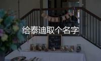 給泰迪取個(gè)名字