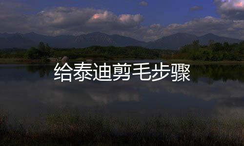 給泰迪剪毛步驟