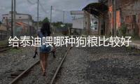 給泰迪喂哪種狗糧比較好呢(給泰迪喂哪種狗糧比較好吃)