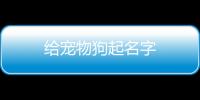 給寵物狗起名字