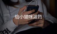 給小貓咪灌藥