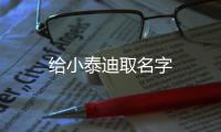 給小泰迪取名字