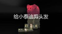 給小泰迪剪頭發