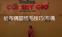 給布偶貓梳毛技巧(布偶貓梳毛會梳禿嗎)