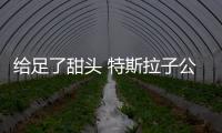 給足了甜頭 特斯拉子公司負責人卻消失