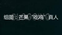組圖：芒果“吃雞”真人秀開錄 張翰程瀟justin丁澤仁等加盟