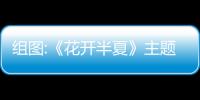 組圖:《花開半夏》主題曲曝光 韓承羽劉忻深情獻唱 【電視劇】風尚中國網