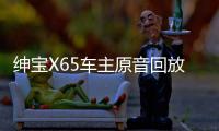 紳寶X65車主原音回放 再現調查現場