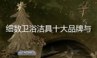 細數(shù)衛(wèi)浴潔具十大品牌與其他產品的區(qū)別