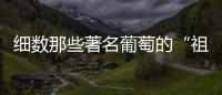 細(xì)數(shù)那些著名葡萄的“祖籍”